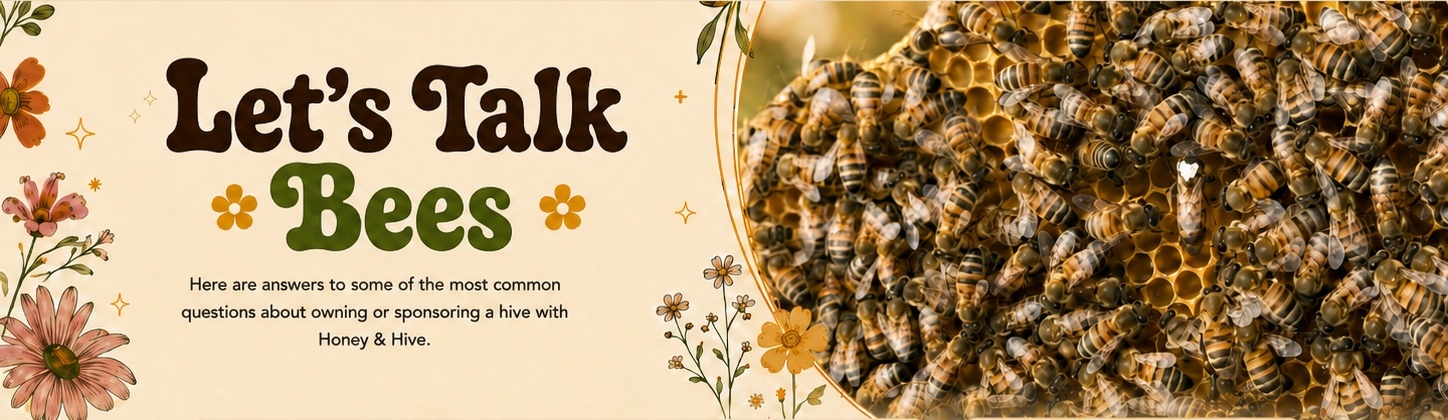 Honey & Hive FAQ page heading: Let’s Talk Bees.